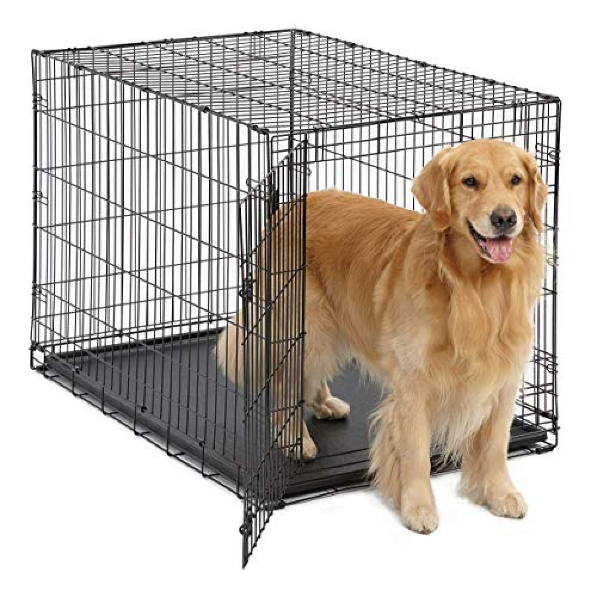 Large Dog Crate | MidWest ICrate Folding Metal Dog Crate | Divider